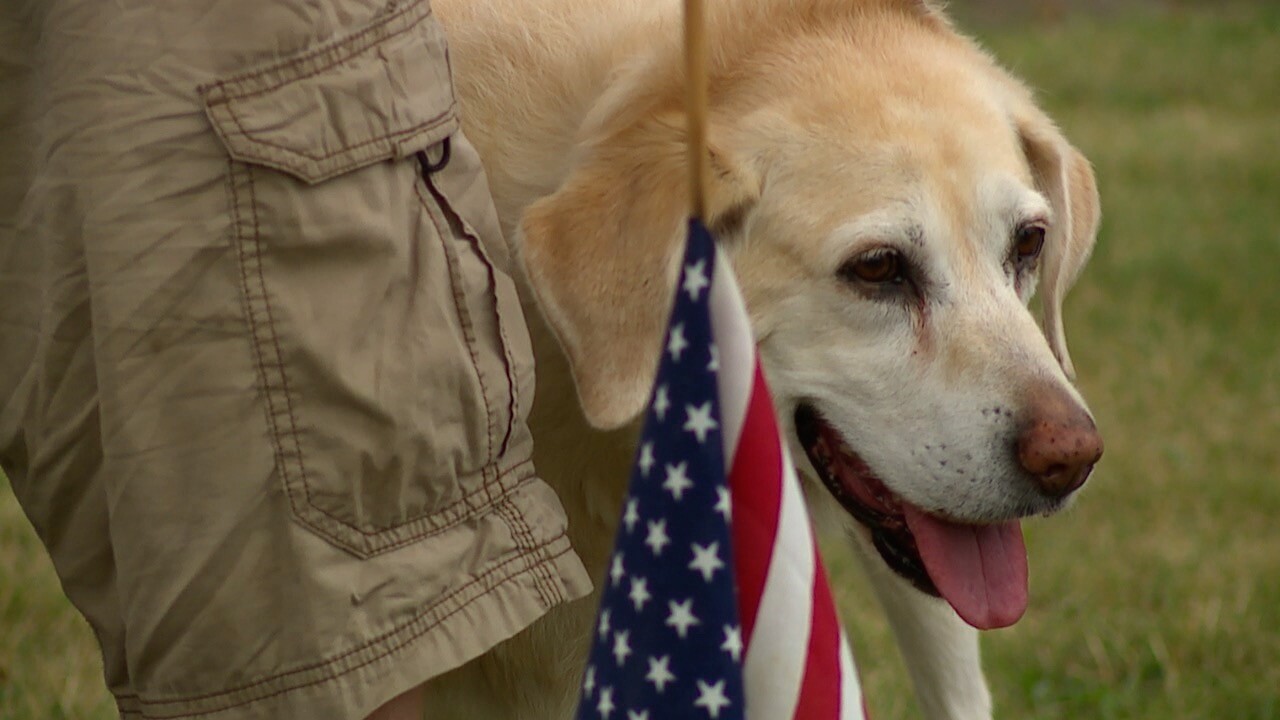 07-04-24 ELYRIA FIREWORKS ENFORCEMENT amy.jpg