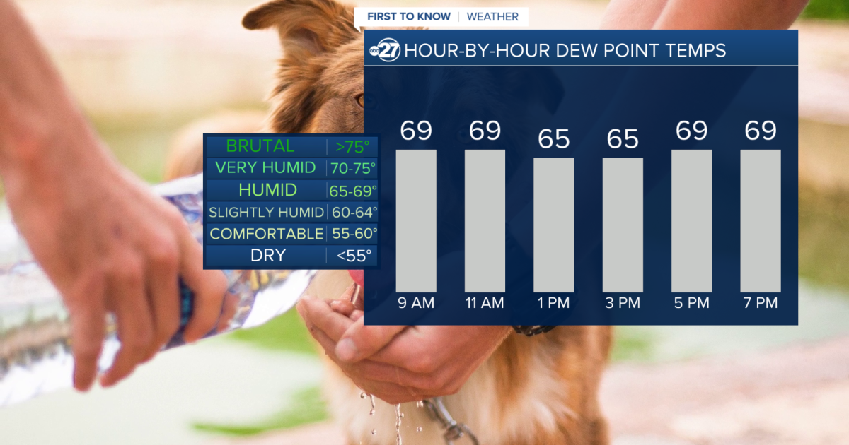 Another round of fog with a hot and humid afternoon in store! - Vimarsana News