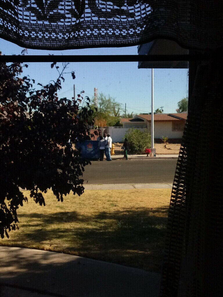 Jennifer Cleary dumpster 3.jpeg
