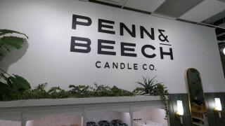 pennbeech3.jpg