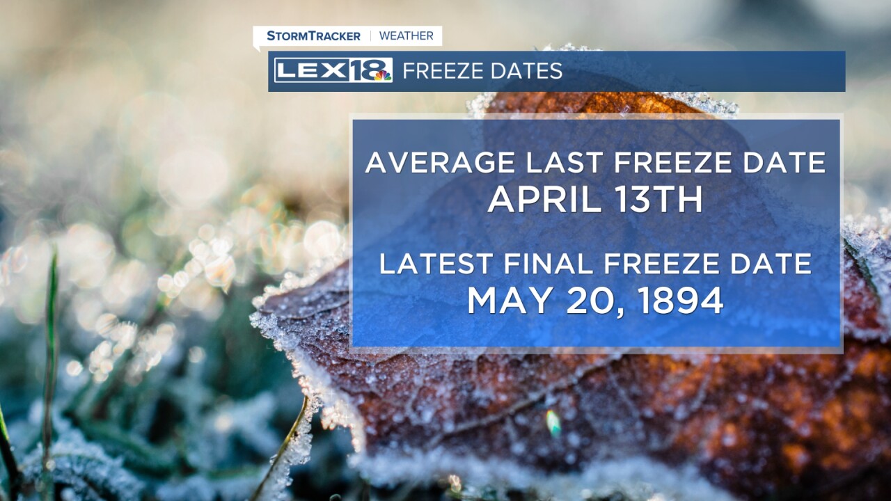 326 freeze stats.jpeg