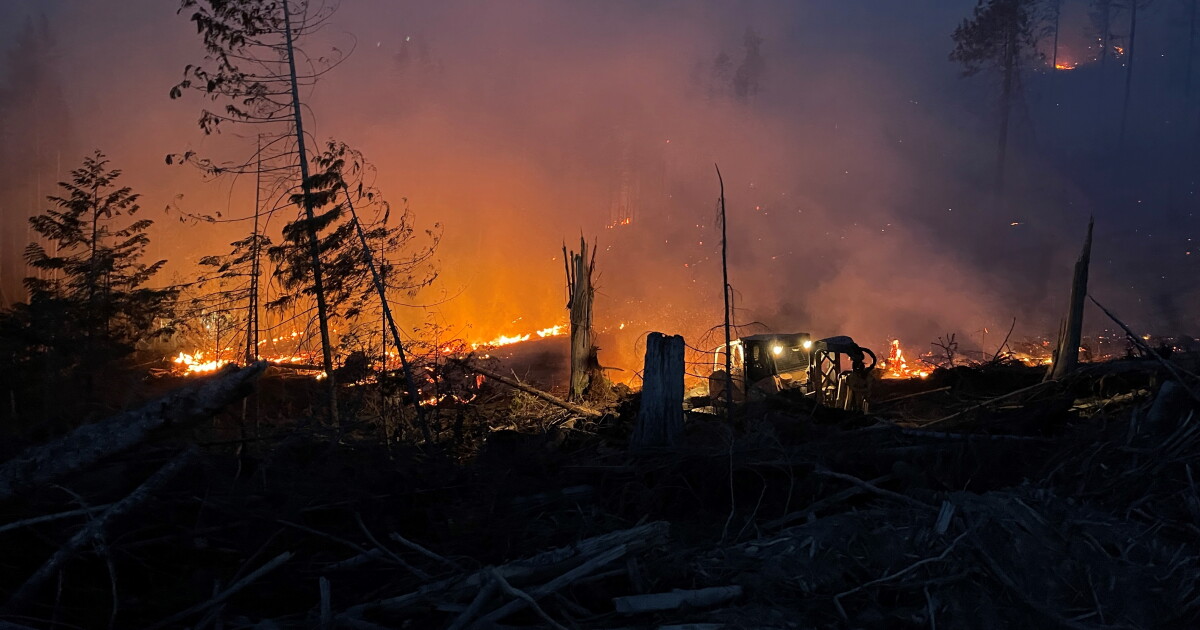 Tyson fire expands to 100 acres near Fernwood, ID - Vimarsana News