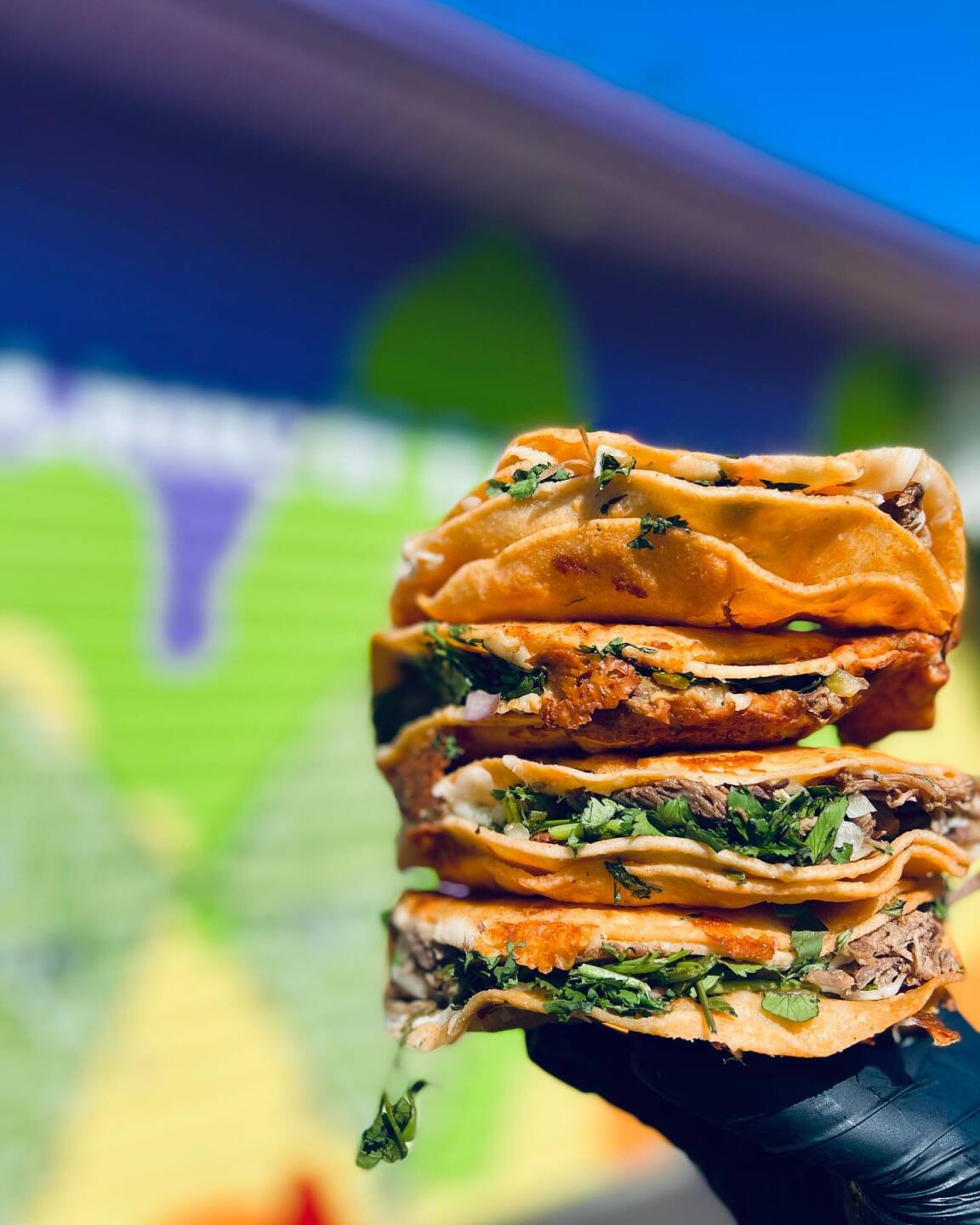 da taste tacos and colors.jpg