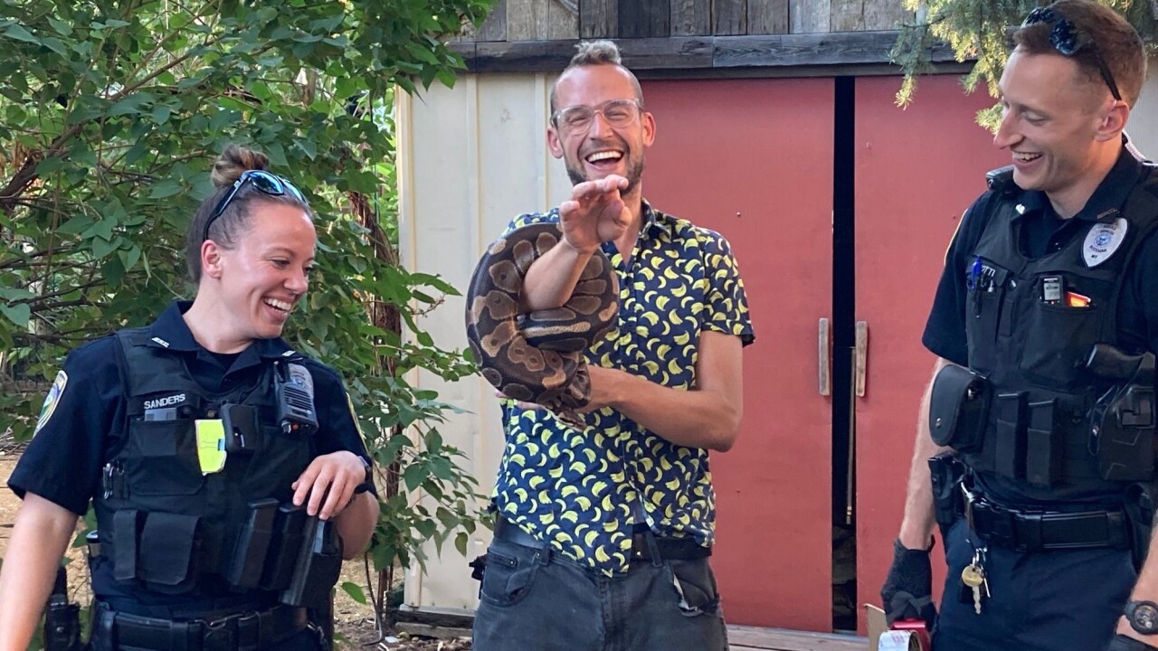 lost python bzn pd.jpg