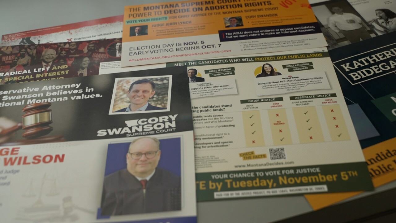 Candidate fliers