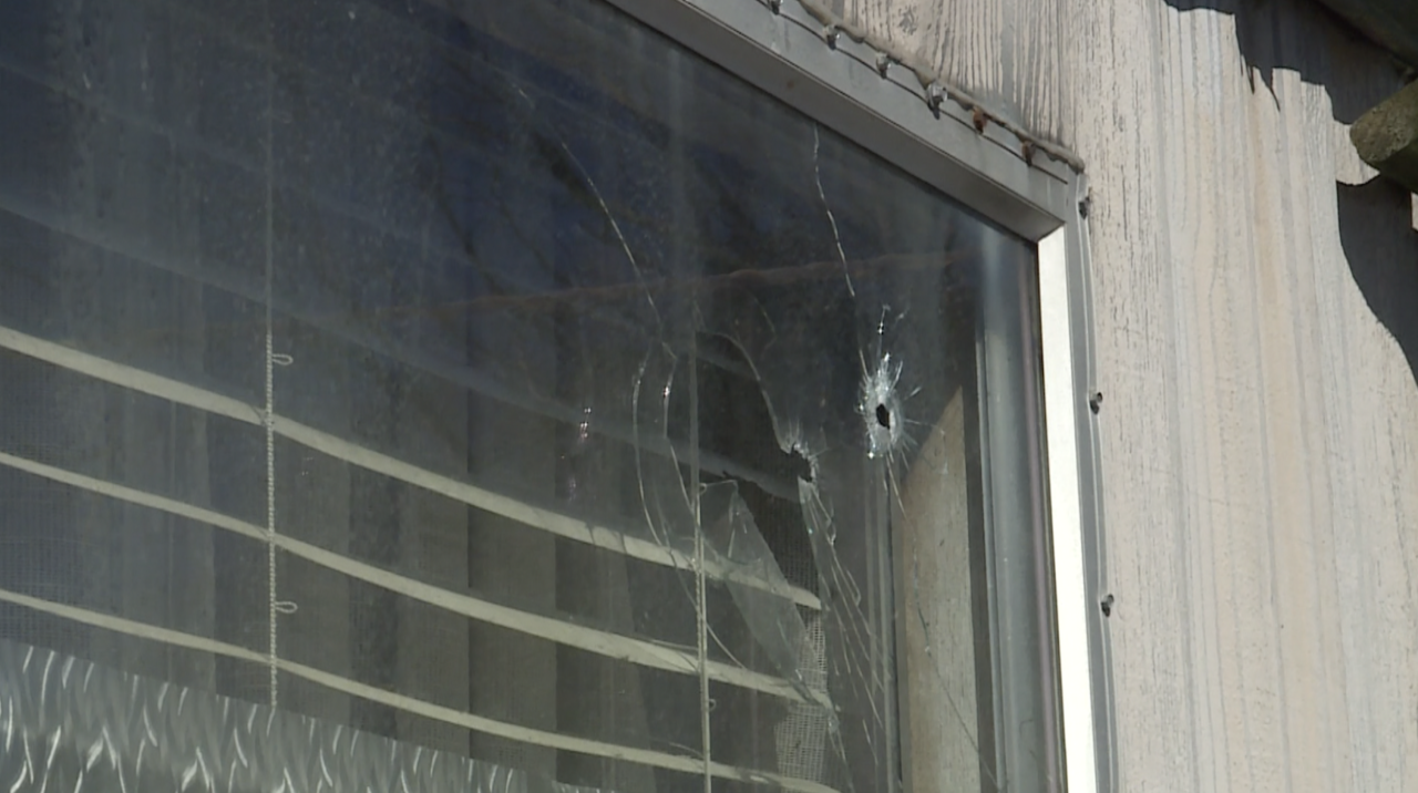 NN 12 year old shot neighbor window