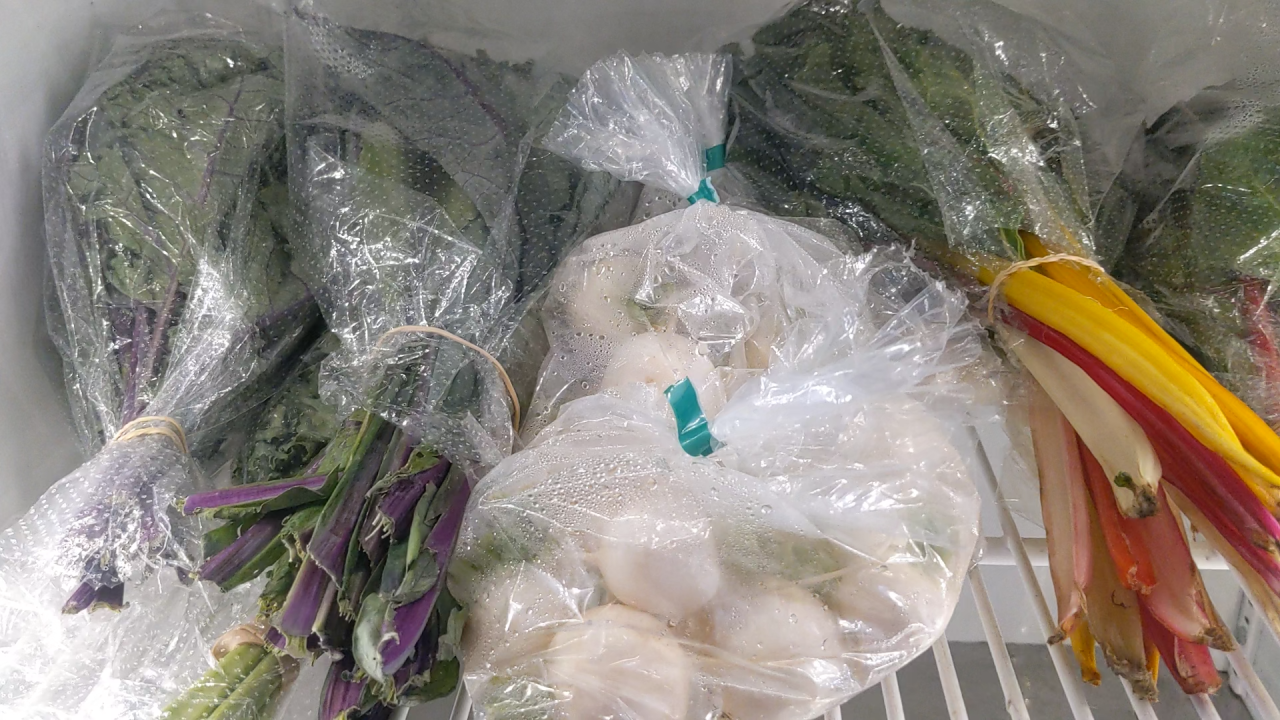 Stone Soup Garden produce at Zest