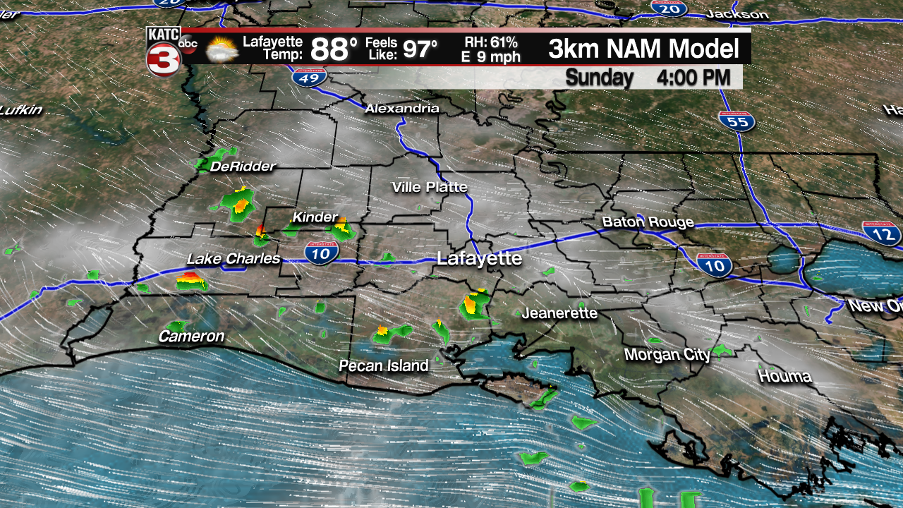 NAM Futurecast Rob.png