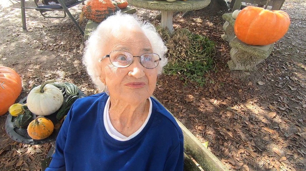 Allens Pumpkin Farm 06 .png