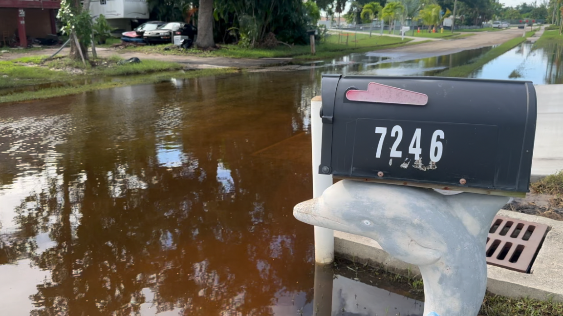 FLOODING FIASCO: Drainage issues leaves Harlem Heights residents begging for help