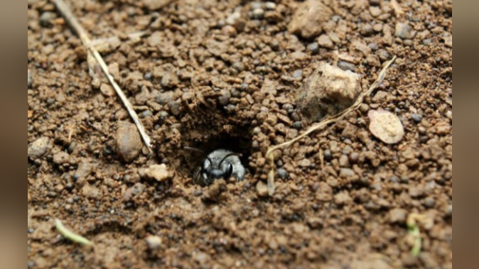 Screen Shot 2026-04-01 at 6.16.38 PM.png