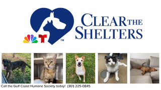 ClearTheShelters3 - 00.png