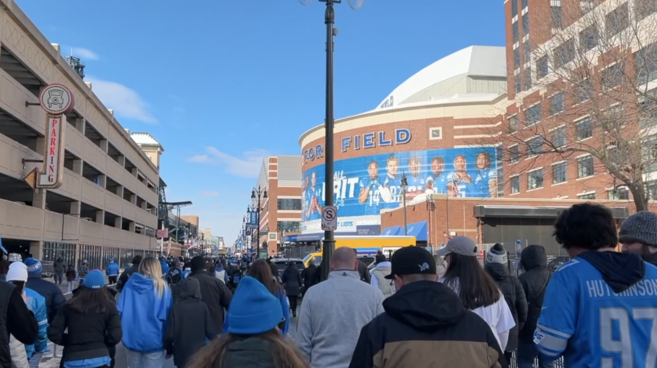 lions 3.png