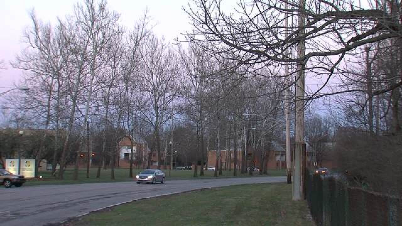 PICS: Crown Hill North Woods could be torn down