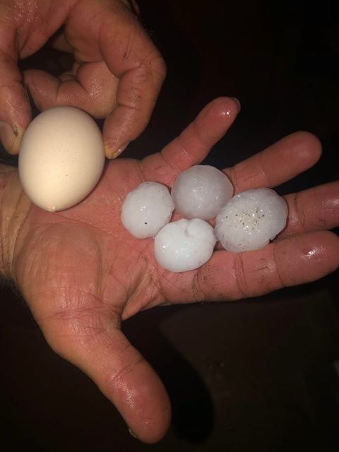 Natisha Miller near Mt. Orab.jpg