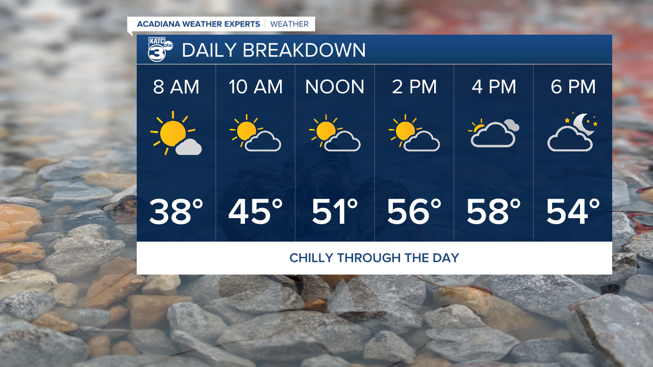 Vert Planner 6 - Hourly.png