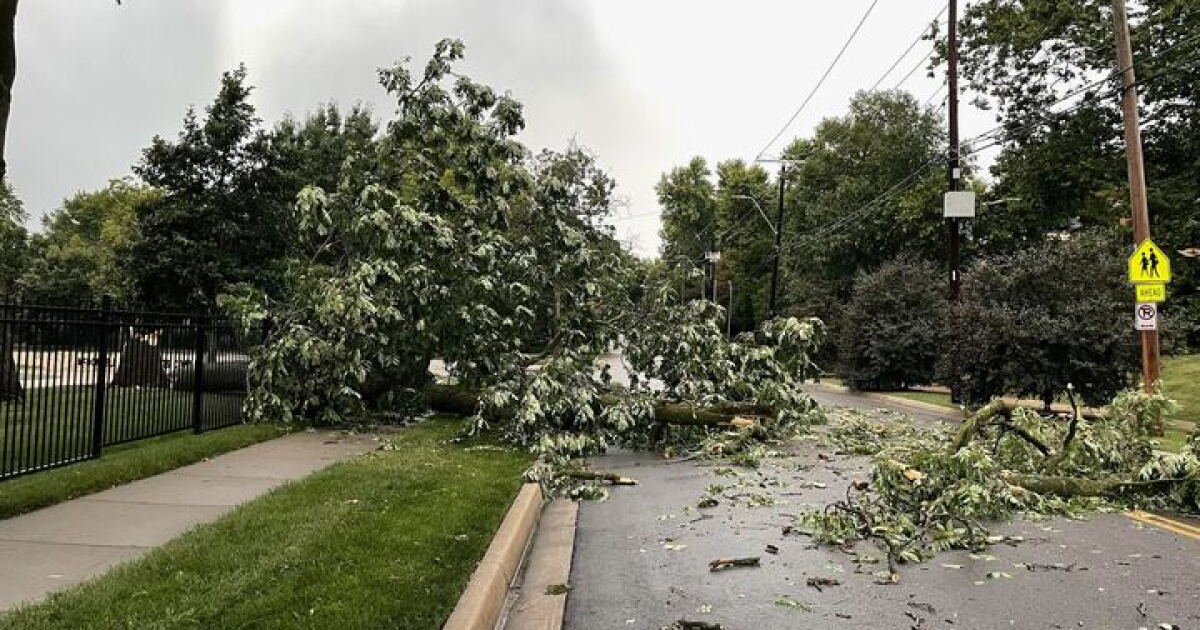 Storms down trees across Kansas City