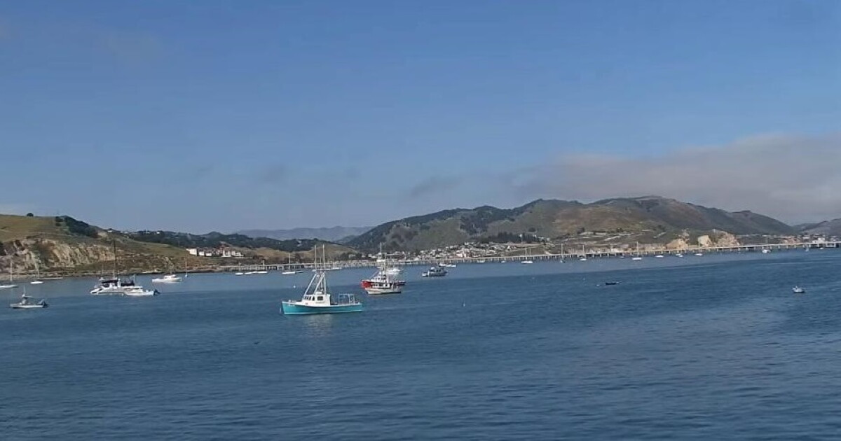 Warm temps dominating inland areas while foggy conditions persist by the coast - Vimarsana News