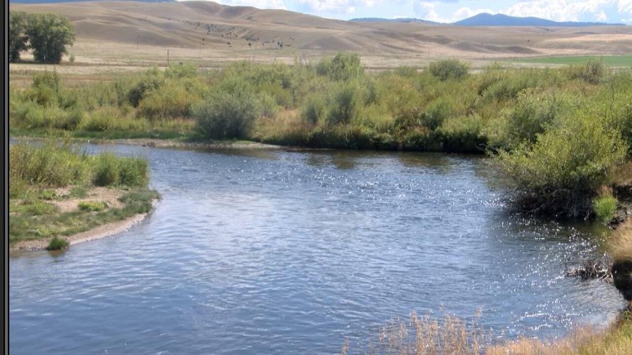 Fish kill found in Clark Fork River west of Butte