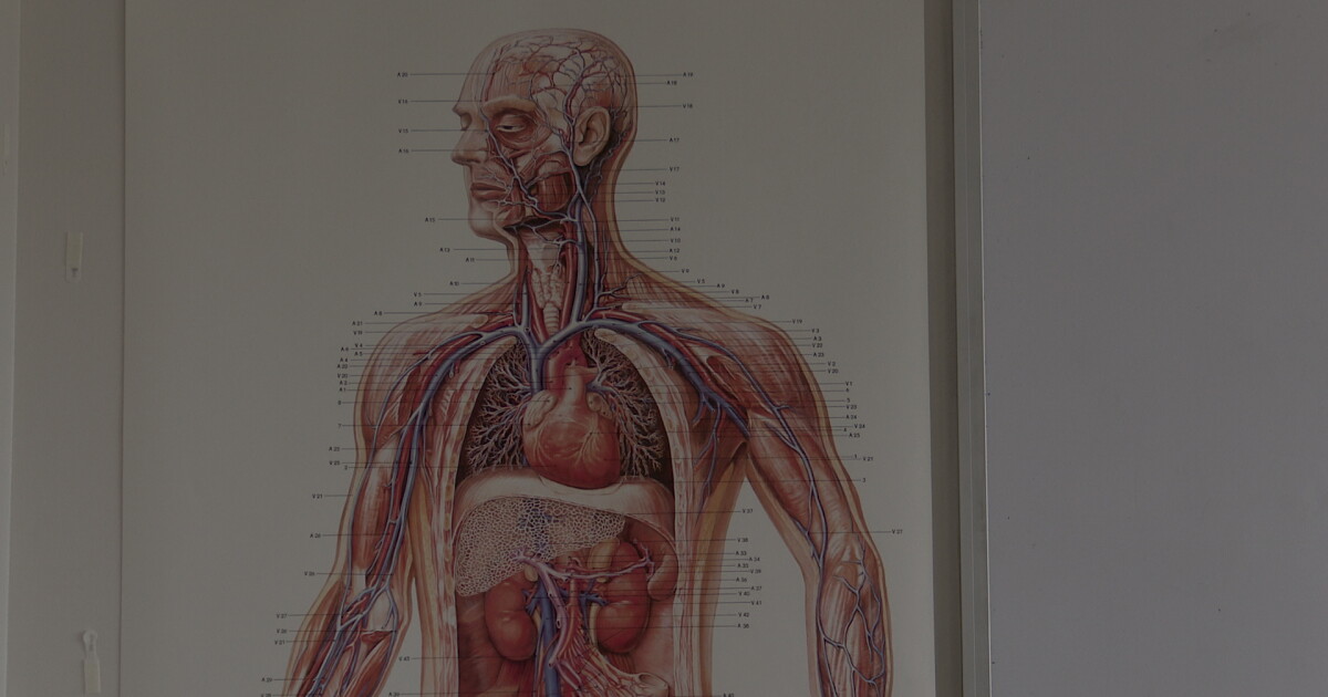 Carroll College developing new Physician Assistant program - Vimarsana News