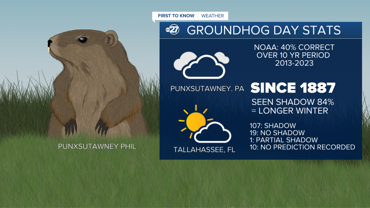 History of Punxsutawney Phil's shadow statistics and accuracy 