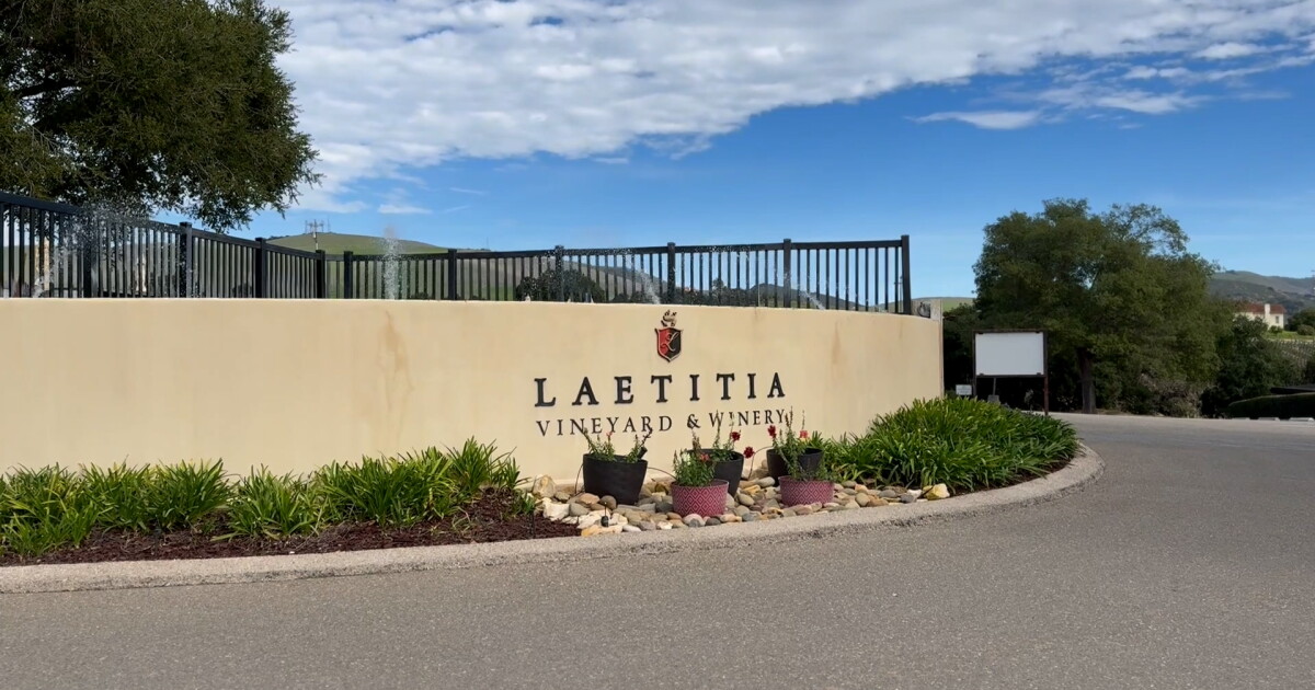 Laetitia Winery temporarily closes. What's next for the popular winery? - Vimarsana News
