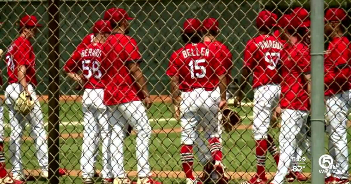 Think Spring Baseball Fans ready for baseball as spring training kicks off