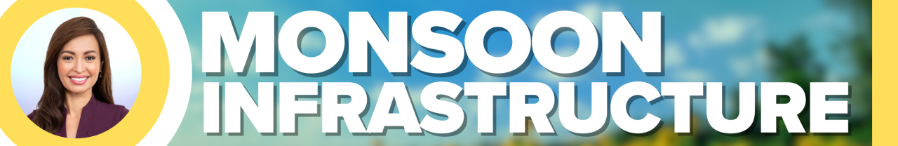 Summer Season with Linh Truong!