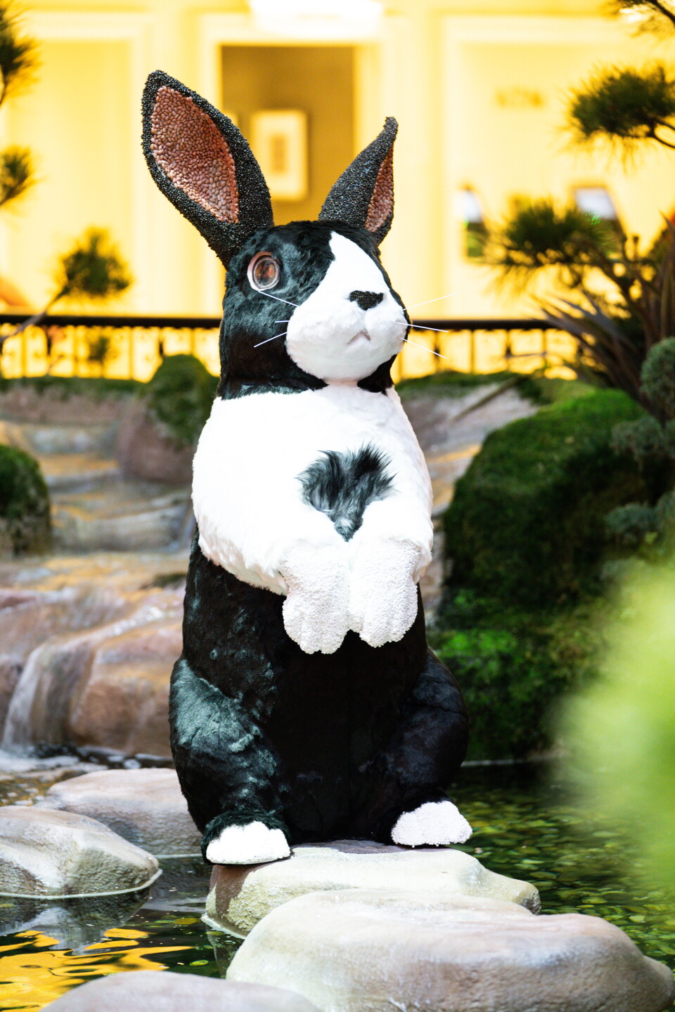 Year of the Rabbit display at Bellagio Conservatory