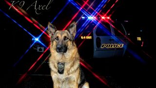 K9 Axel.jpg