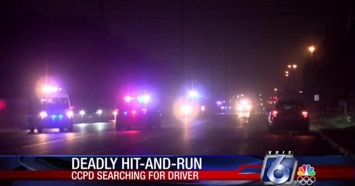 DETAILS Suspect identified in deadly hitandrun crash