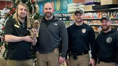 Fairfield Police Recover Stolen Puppy 2025