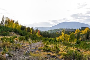 Aspen views Sept. 16 2020 from the Old Dillon Reservoir area between Lake Dillon and I-70