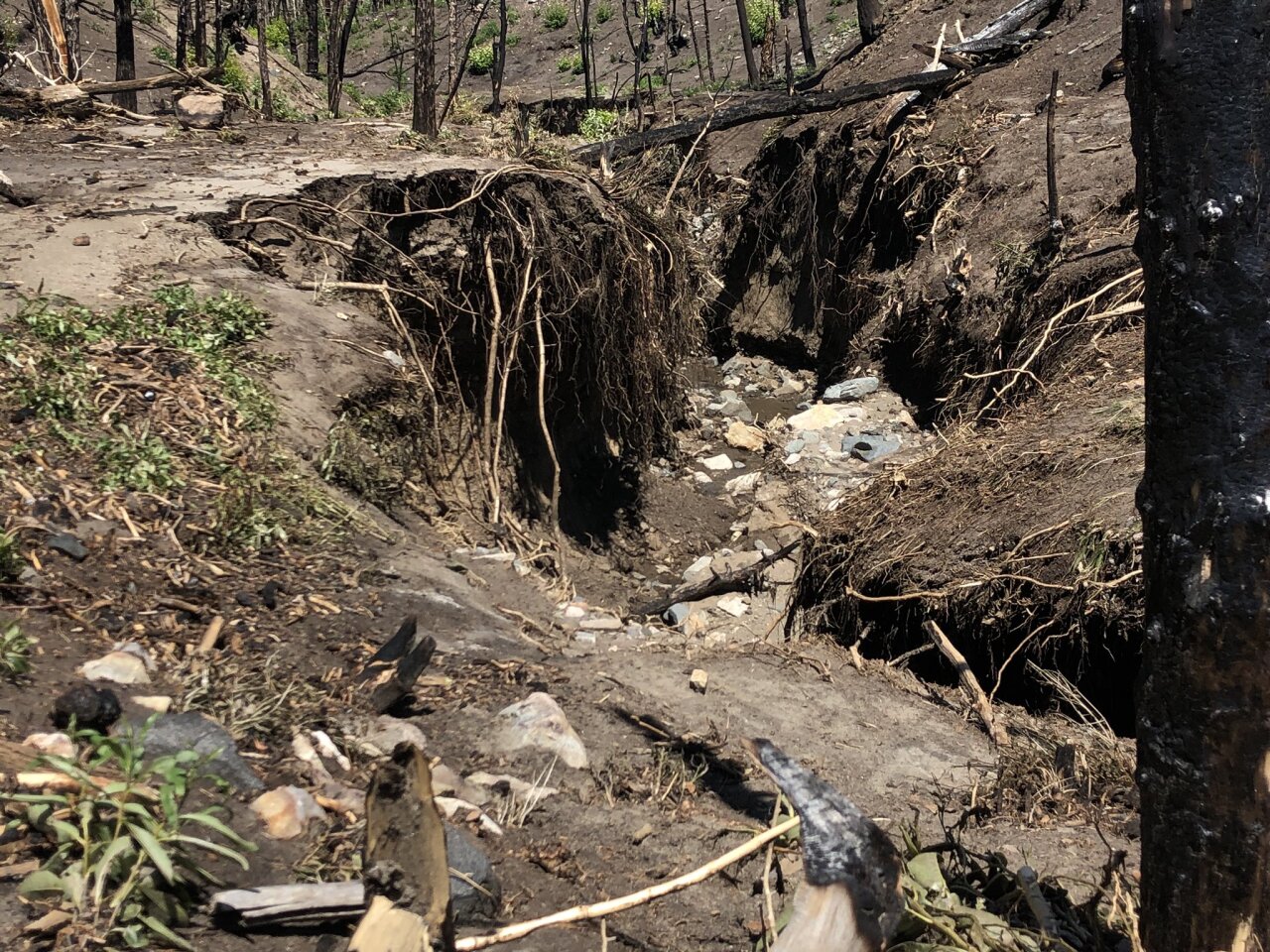 Decker Fire Flood.jpg