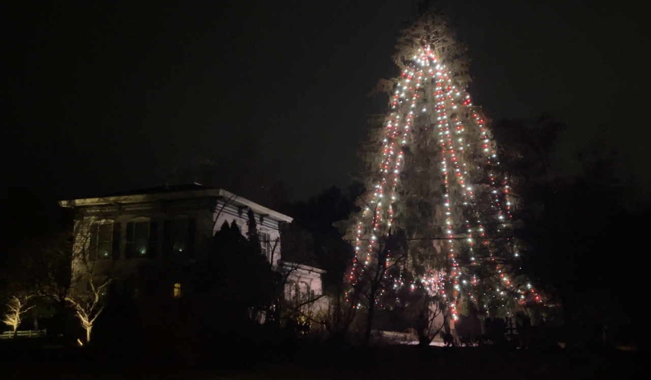 Cossin Christmas Tree