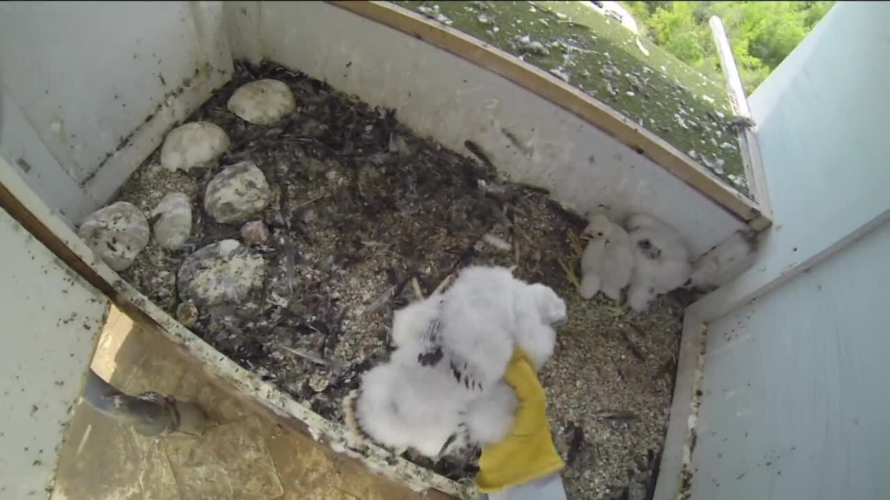 Poster image - 2021-08-30T222106.639.jpg