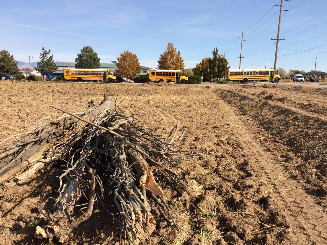 Brush cleared at Amazon delivery station site on Franklin Road in west Meridian 10-23-20 cropped.jpg