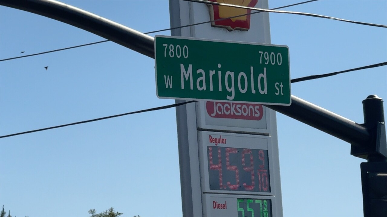 marigold.jpg