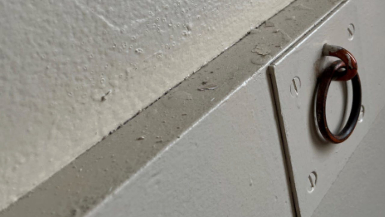 Custom Uplynk Clipper - 2025-06-18T133825.391.png