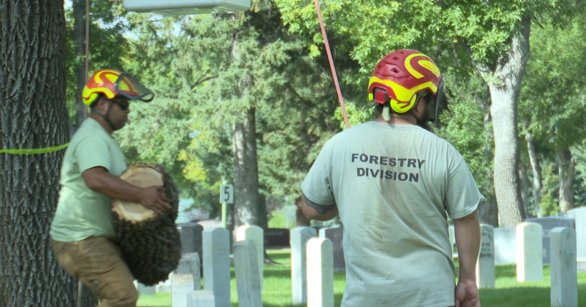 Billings cemetery gets a free makeover thanks to local arborists - Vimarsana News