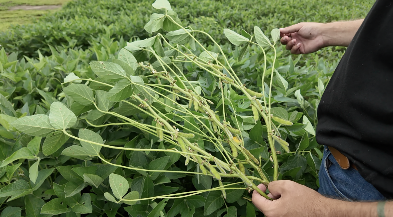 Screenshot 2025-07-31 at 6.06.08 PM.png