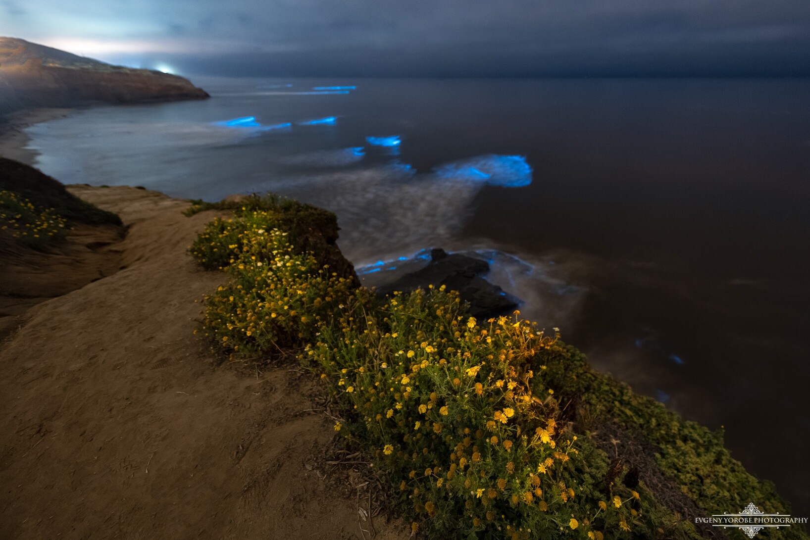 PHOTOS Bioluminescent tide along San Diego's coast