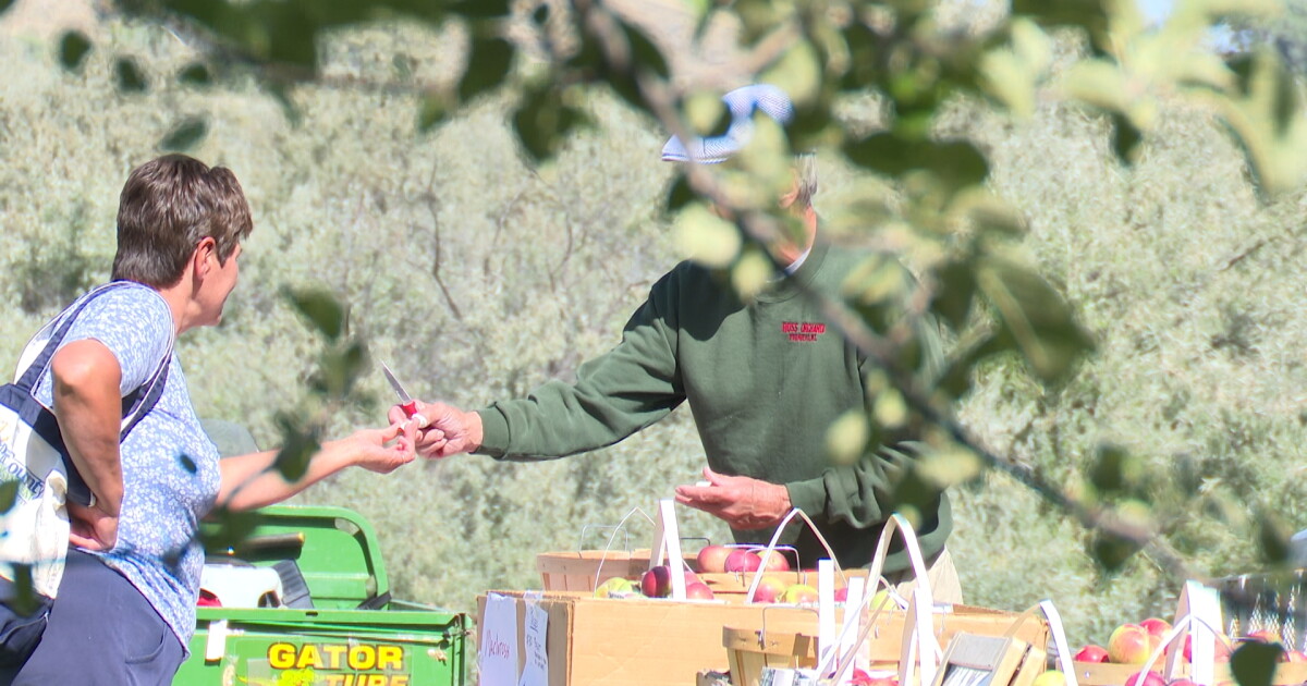 'Labor of love': Apple orchard in Fromberg carries on family tradition - Vimarsana News