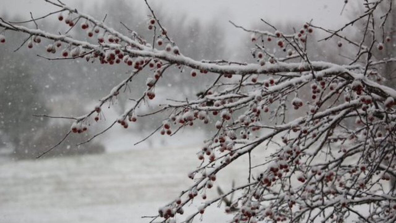 PHOTOS: First snow of 2015 arrives in metro KC