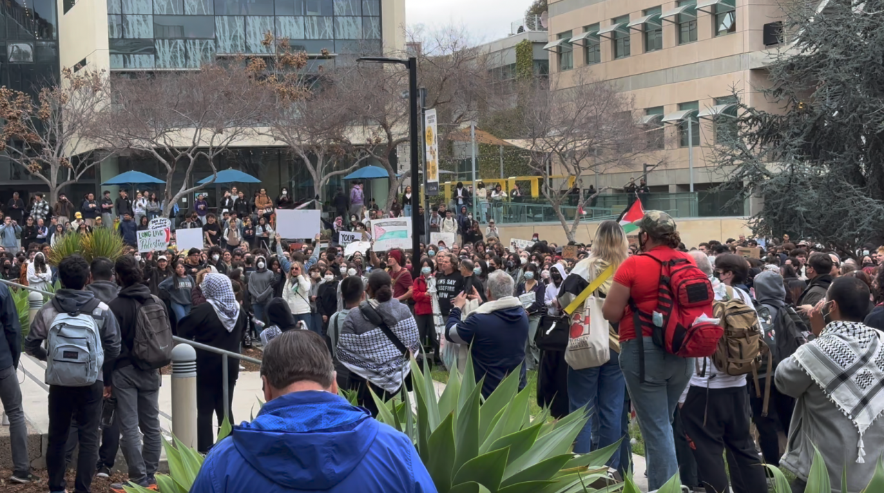 Large Palestine protest on UCSD campus