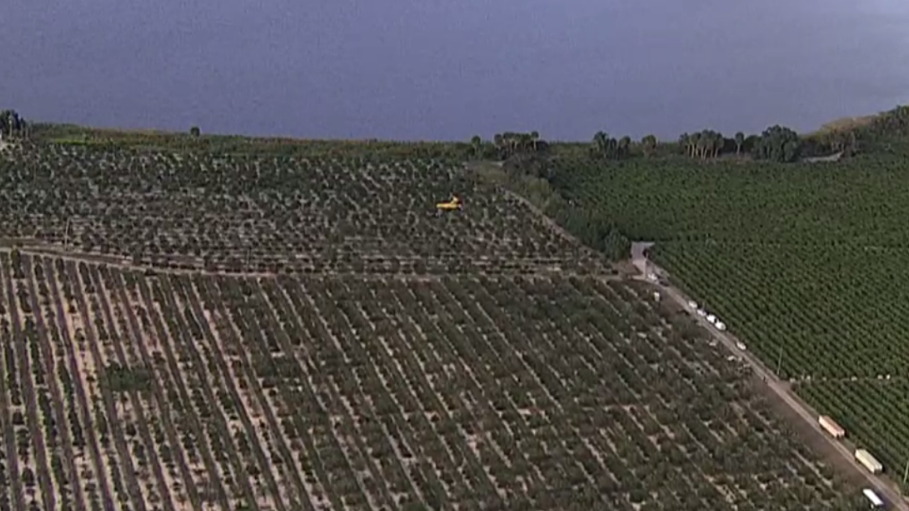 Winter Haven plane crash WFTS3.png