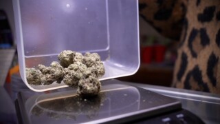 Texas hemp ban on hold as court decision looms