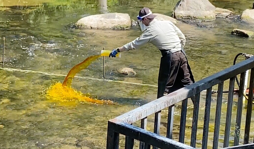 U.S. Fish and Wildlife Sea Lamprey Control.jpeg