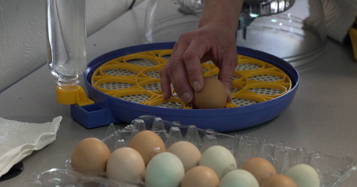Montana Ag: Grant supports agricultural education in classrooms