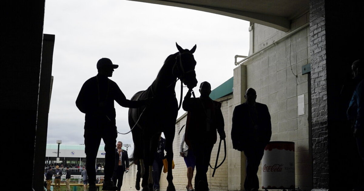 Animal rights group sues for records in horse death in Rancho Santa Fe - Vimarsana News